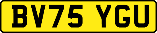 BV75YGU