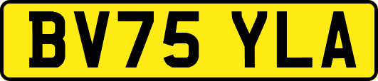 BV75YLA