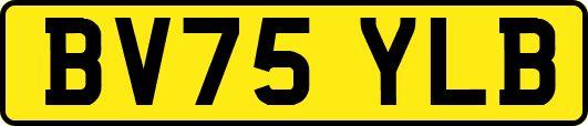 BV75YLB