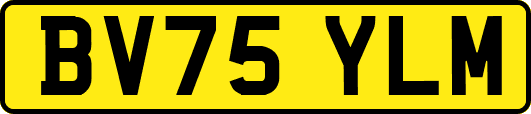 BV75YLM