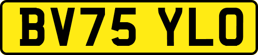 BV75YLO
