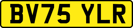 BV75YLR