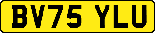 BV75YLU