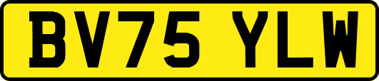BV75YLW