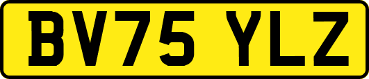BV75YLZ