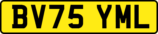 BV75YML