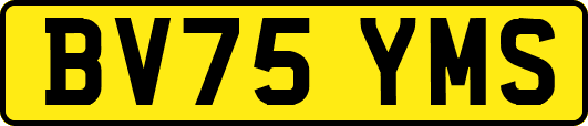 BV75YMS