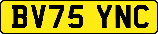 BV75YNC