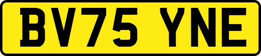 BV75YNE