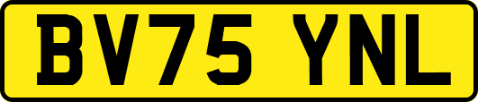 BV75YNL
