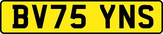 BV75YNS
