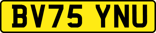 BV75YNU