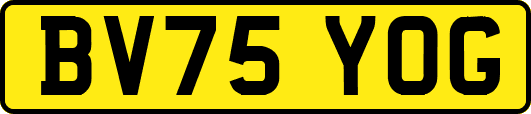 BV75YOG