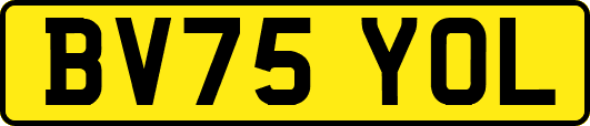BV75YOL