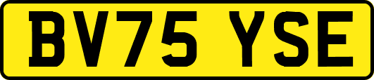 BV75YSE
