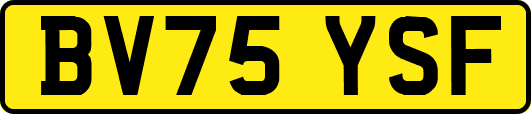 BV75YSF