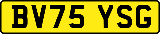 BV75YSG