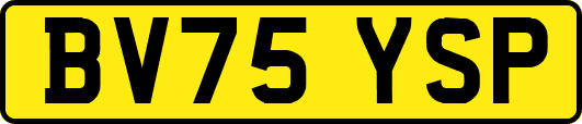 BV75YSP