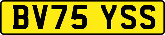 BV75YSS