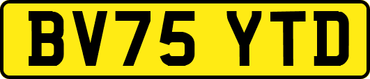 BV75YTD