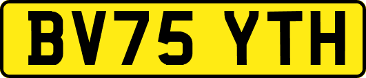 BV75YTH