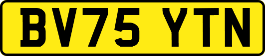 BV75YTN