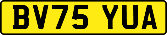 BV75YUA