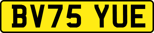 BV75YUE