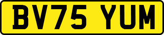 BV75YUM