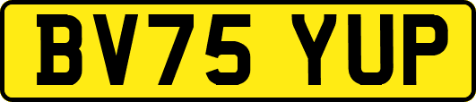 BV75YUP