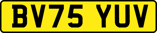 BV75YUV
