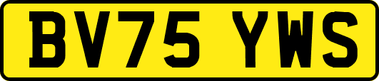 BV75YWS