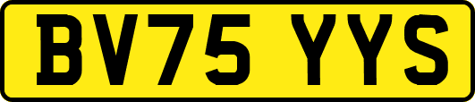 BV75YYS