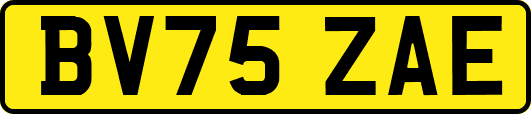 BV75ZAE