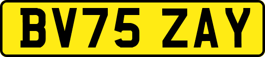BV75ZAY