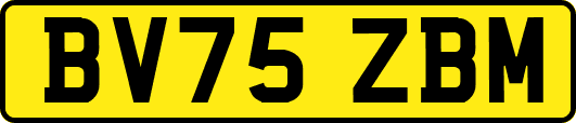 BV75ZBM