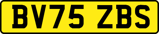 BV75ZBS