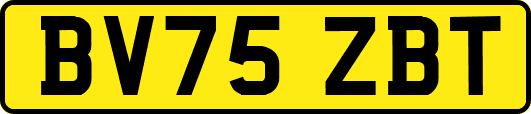 BV75ZBT