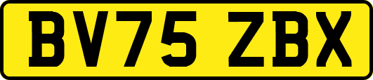 BV75ZBX