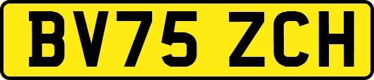 BV75ZCH