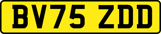BV75ZDD