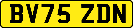 BV75ZDN