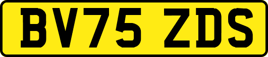 BV75ZDS