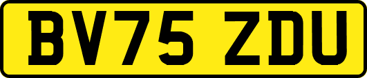 BV75ZDU