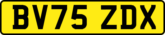 BV75ZDX