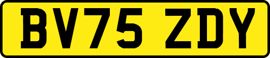 BV75ZDY