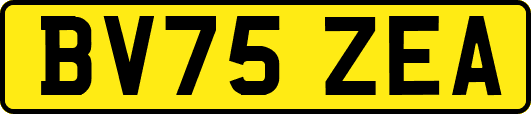 BV75ZEA