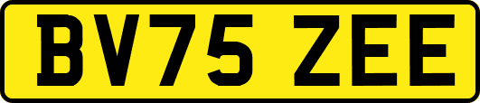 BV75ZEE