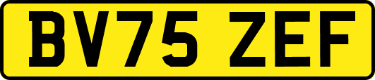 BV75ZEF