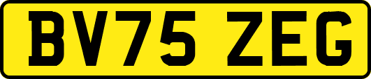 BV75ZEG